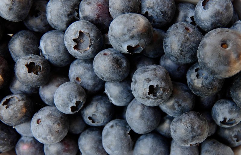 Blueberry Cornbread